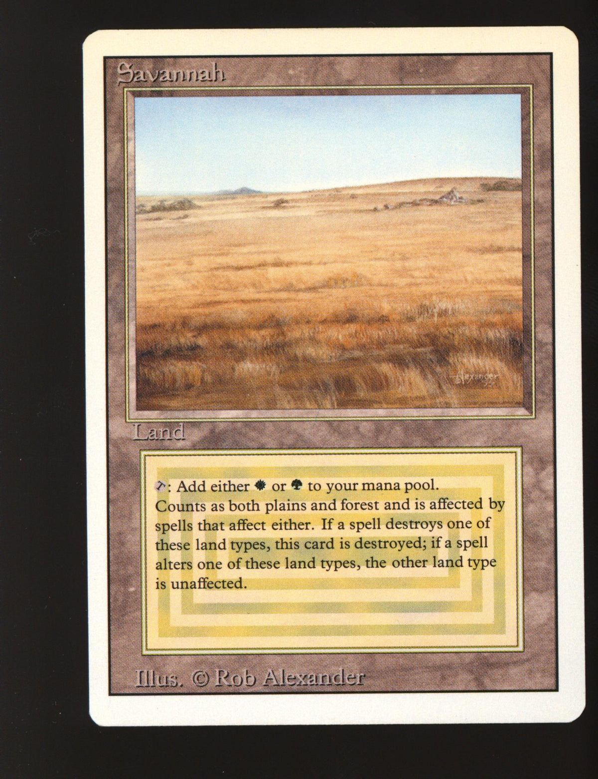 Savannah (Near Mint)