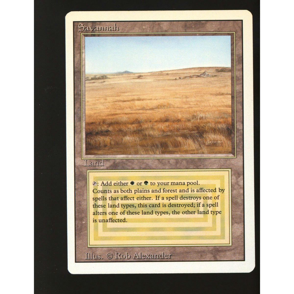 Savannah (Near Mint)
