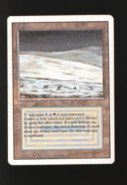 Tundra (Light Play)