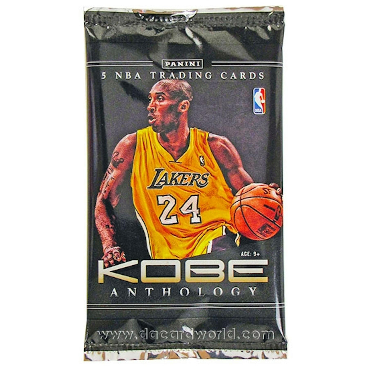 2012/13 Panini Hoops Basketball Hobby Box