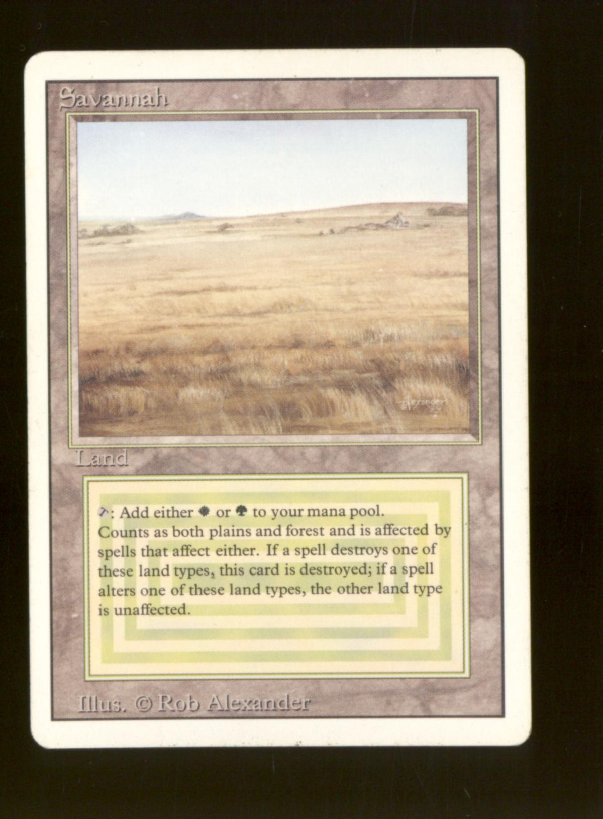 Savannah (Moderate Play)