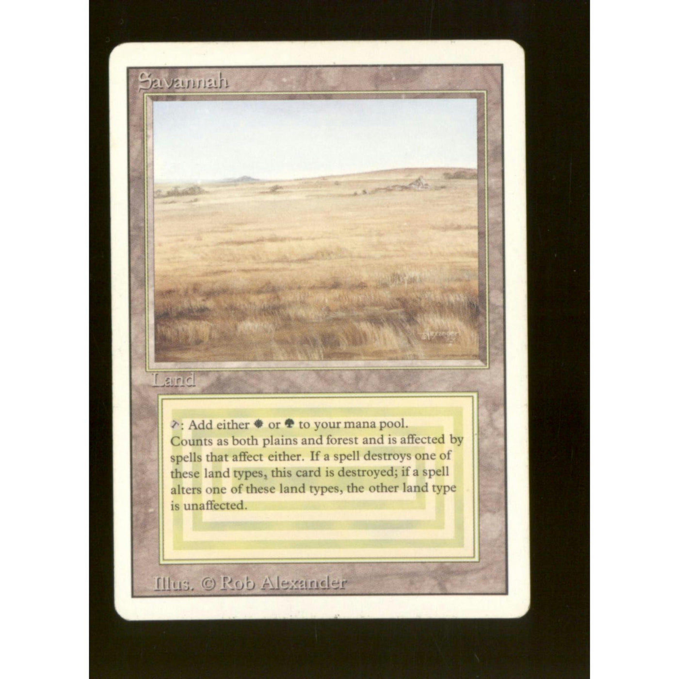 Savannah (Moderate Play)