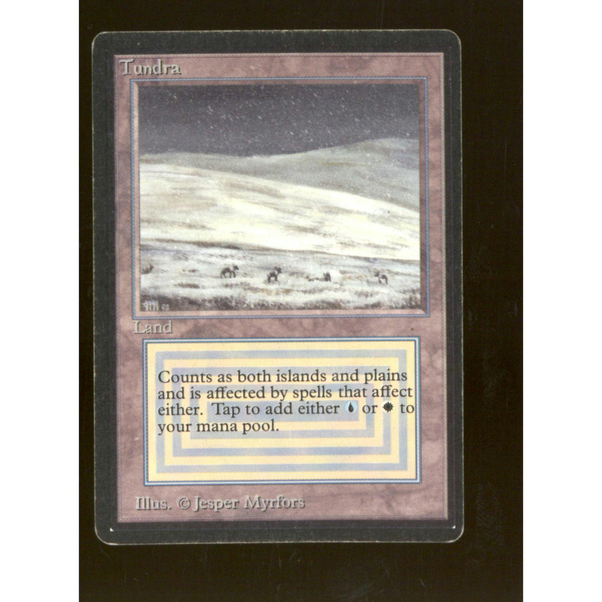 Tundra (Moderate Play)