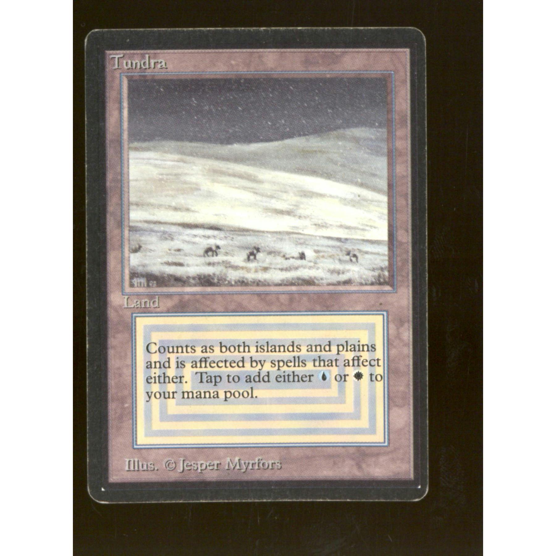 Tundra (Moderate Play)