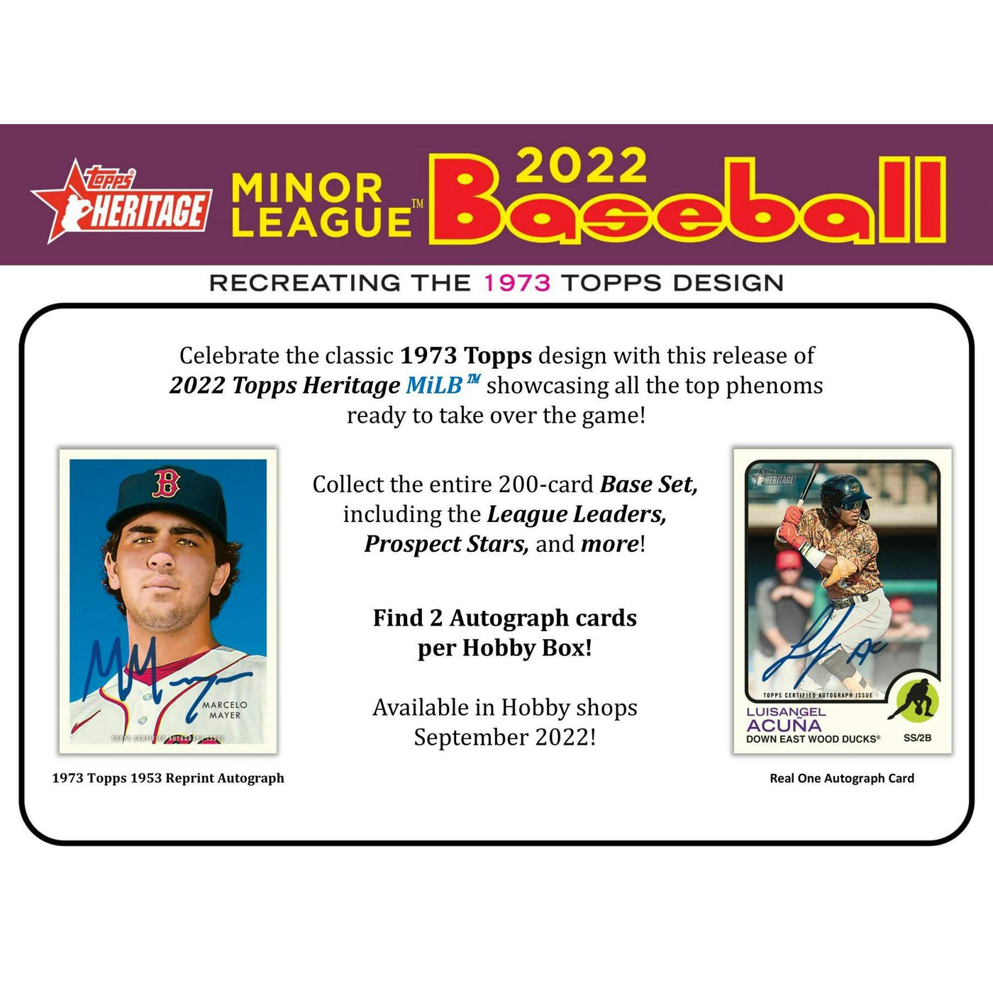 2022 Topps Heritage Minor League Baseball Hobby 12-Box Case