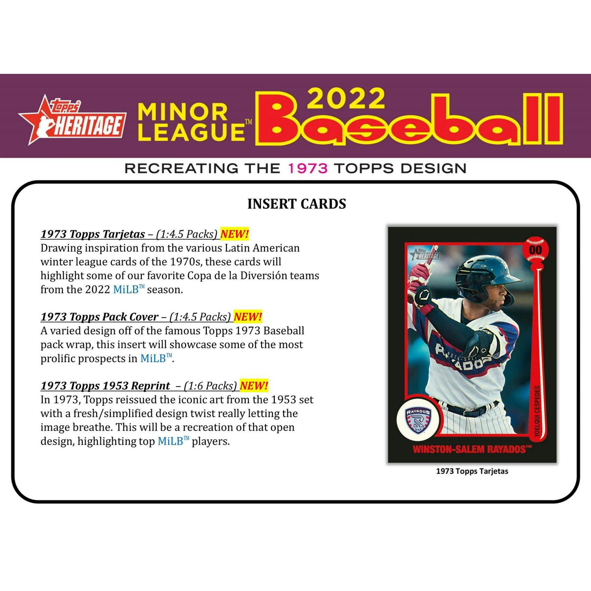 2022 Topps Heritage Minor League Baseball Hobby 12-Box Case
