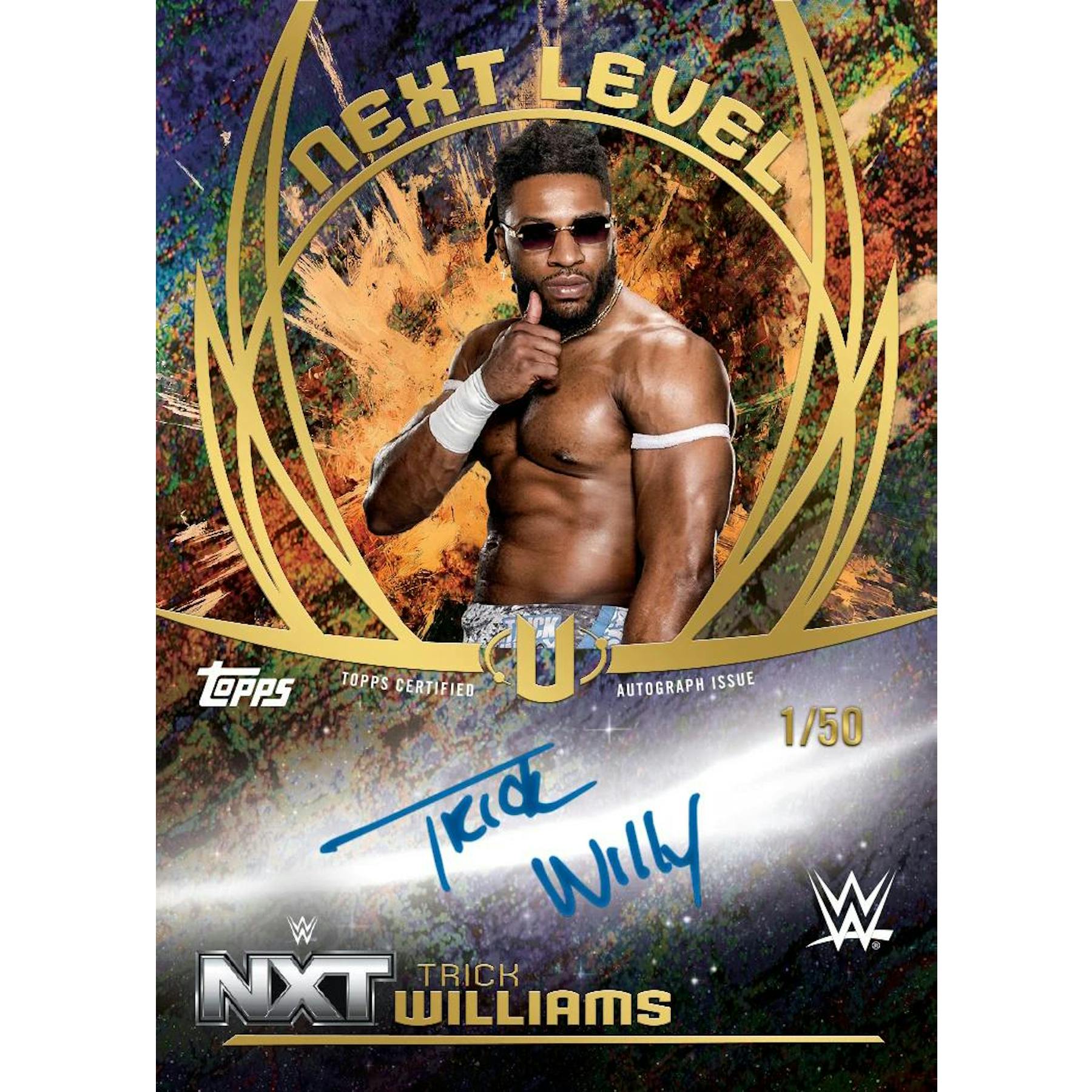 2025 Topps WWE Universe Wrestling Hobby Box
