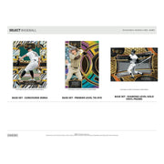 2024 Panini Select Baseball Hobby 12-Box Case