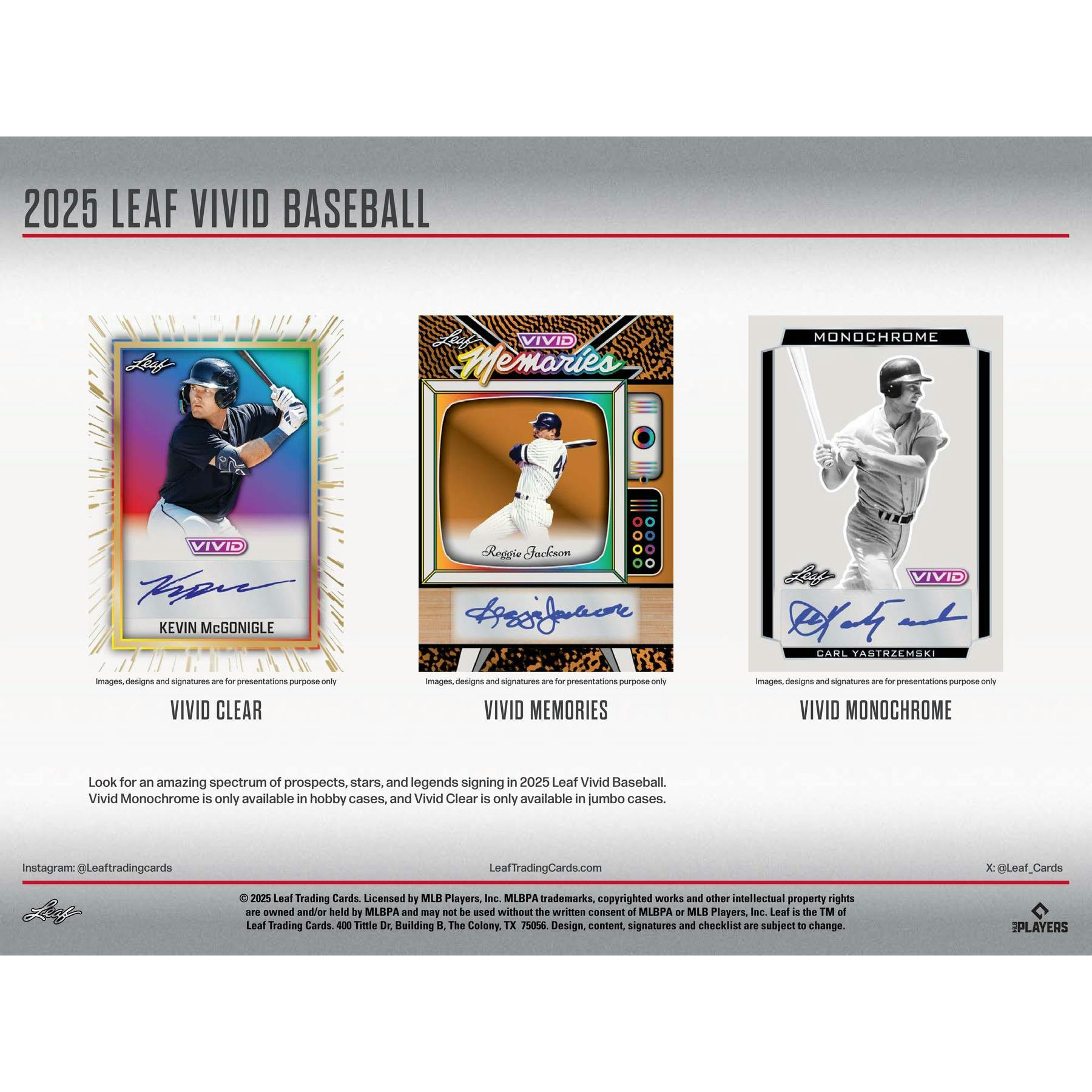 2025 Leaf Vivid Baseball Hobby Box