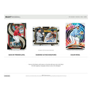 2025 Panini Select Baseball Hobby 12-Box Case