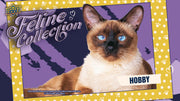 2026 Upper Deck Feline Collection Hobby 10-Box Case (Presell)