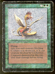 Cockatrice (Heavy Play)