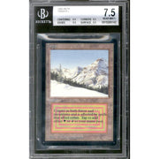Magic the Gathering Beta Taiga BGS 7.5 (8.5, 9.5, 9.5, 6.5) Binder Ding LIGHTLY PLAYED LP