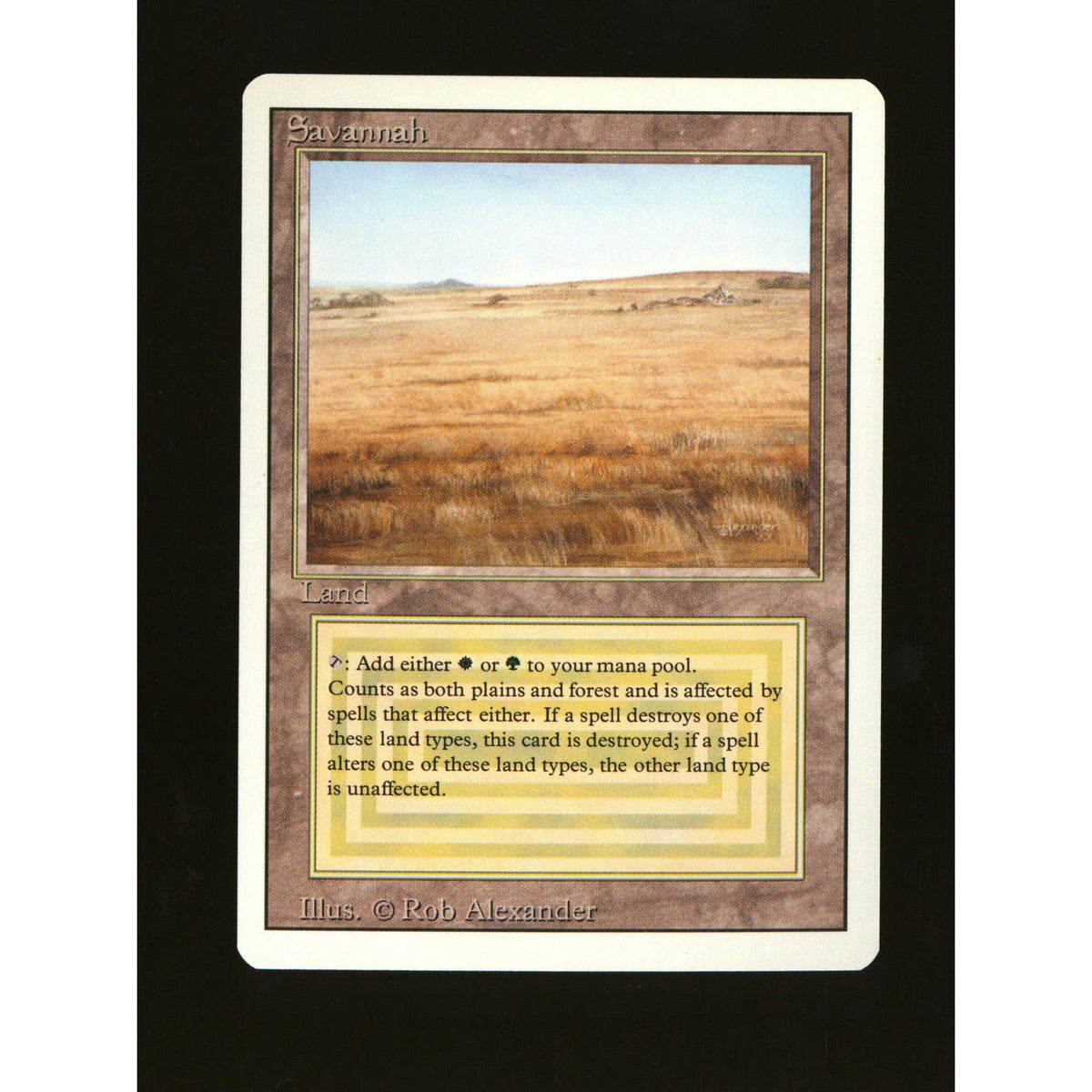 Savannah (Near Mint)