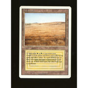Savannah (Near Mint)