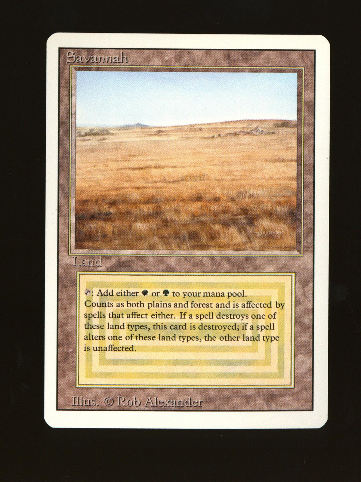 Savannah (Near Mint)