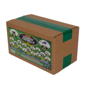 2024 TriStar Hidden Treasures Autographed Footballs Season Edition Hobby Box (Reed Buy)