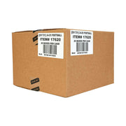 2024 Panini Phoenix Football Hobby International Mega 20-Box Case
