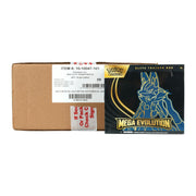 Pokemon Mega Evolution Elite Trainer 10-Box Case