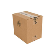 2025 Leaf Vivid Baseball Hobby Jumbo 8-Box Case