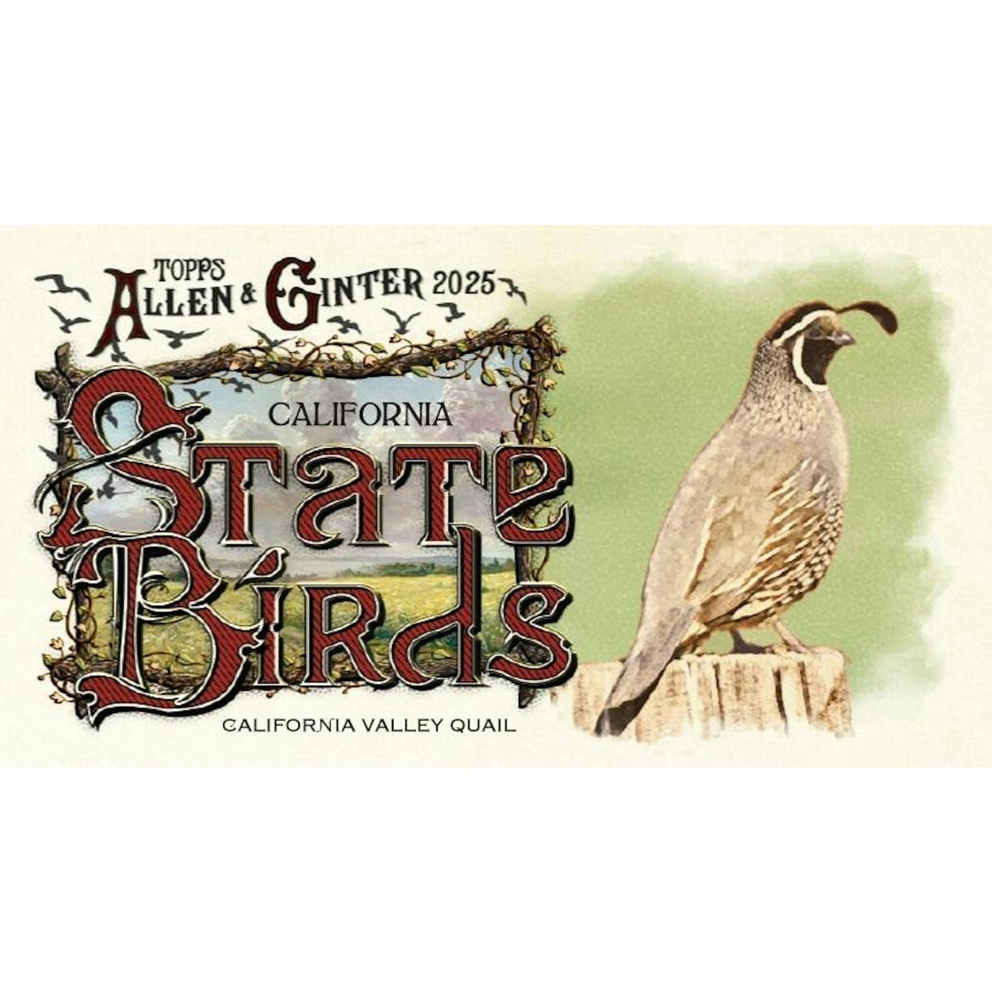 2025 Topps Allen & Ginter Baseball Jumbo Value Pack