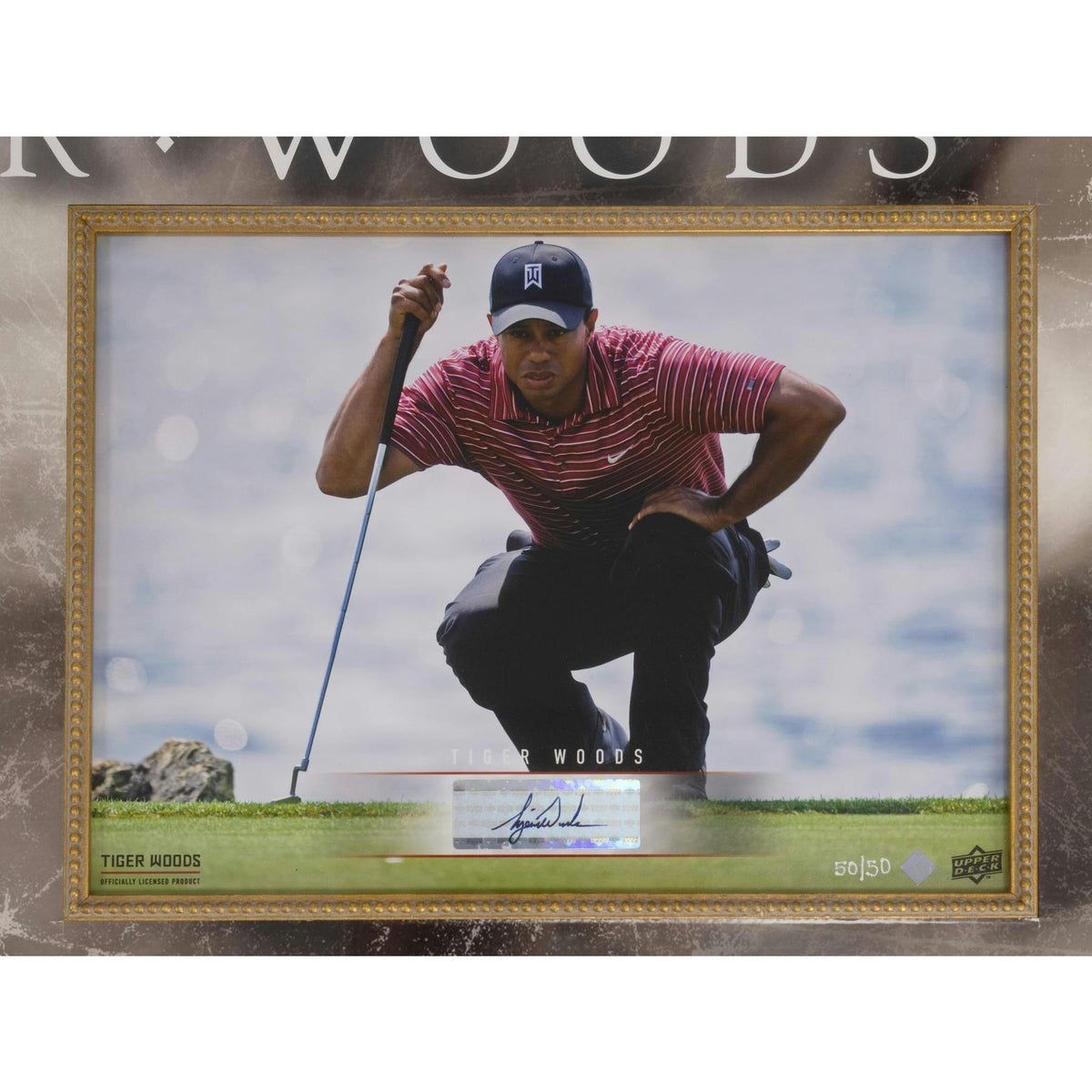 Tiger Woods 4'x2.5' Framed 8x10 Auto #50/50 UDA Authentic