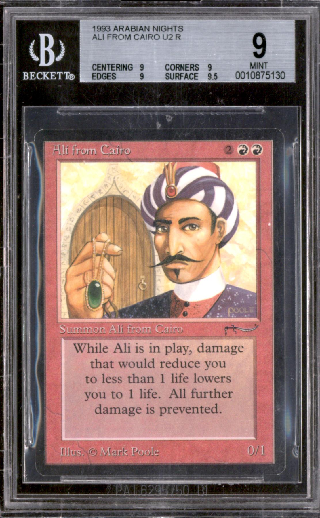Ali from Cairo (BGS 9)