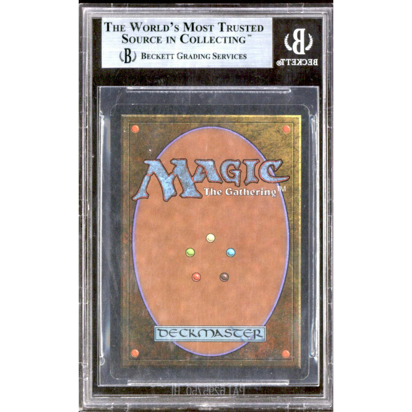 Ali from Cairo (BGS 9)