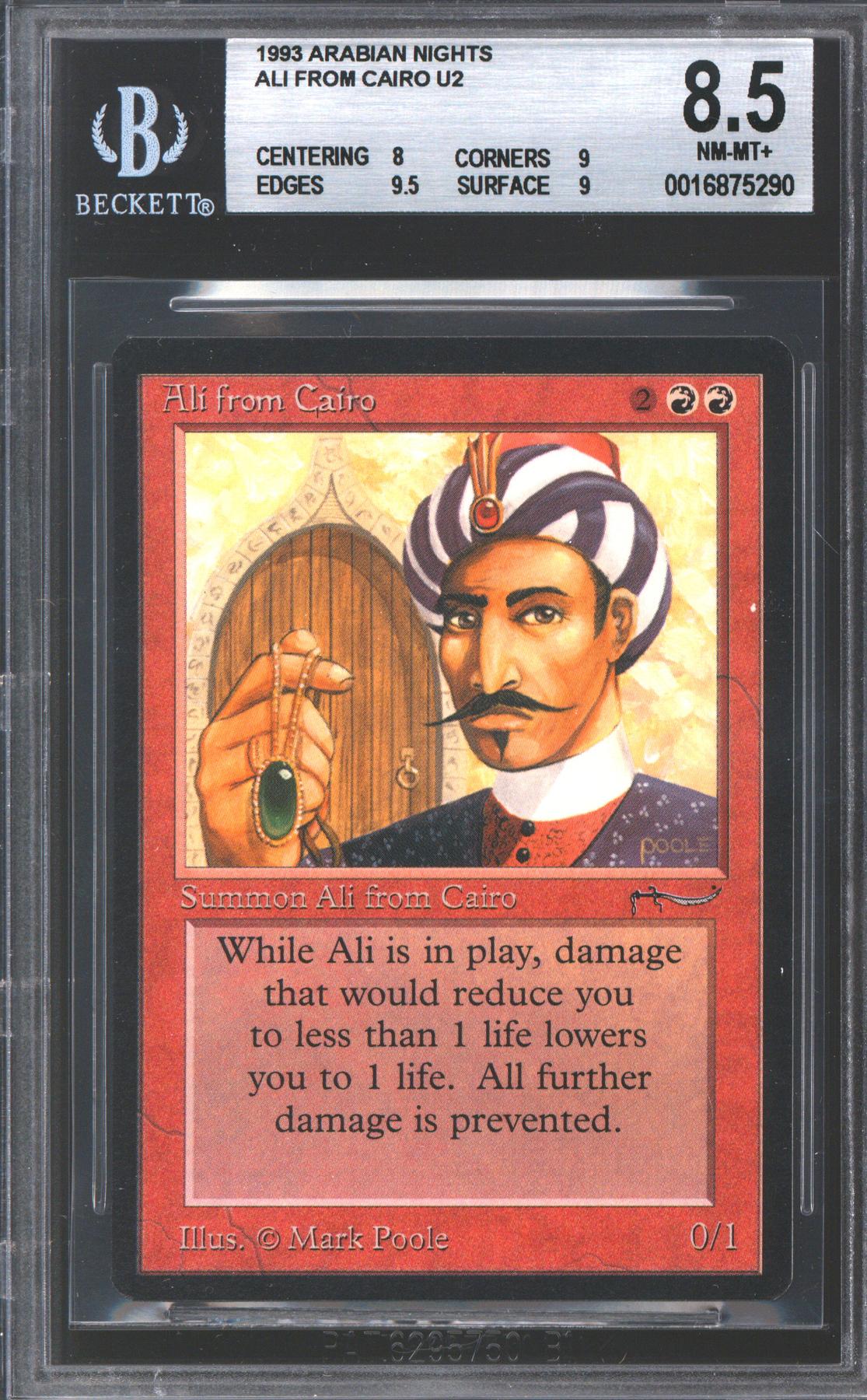 Ali from Cairo (BGS 8.5)