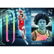 2024/25 Panini Silhouette Basketball Hobby 10-Box Case