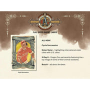 2024 Topps Allen & Ginter Baseball Hobby Pack
