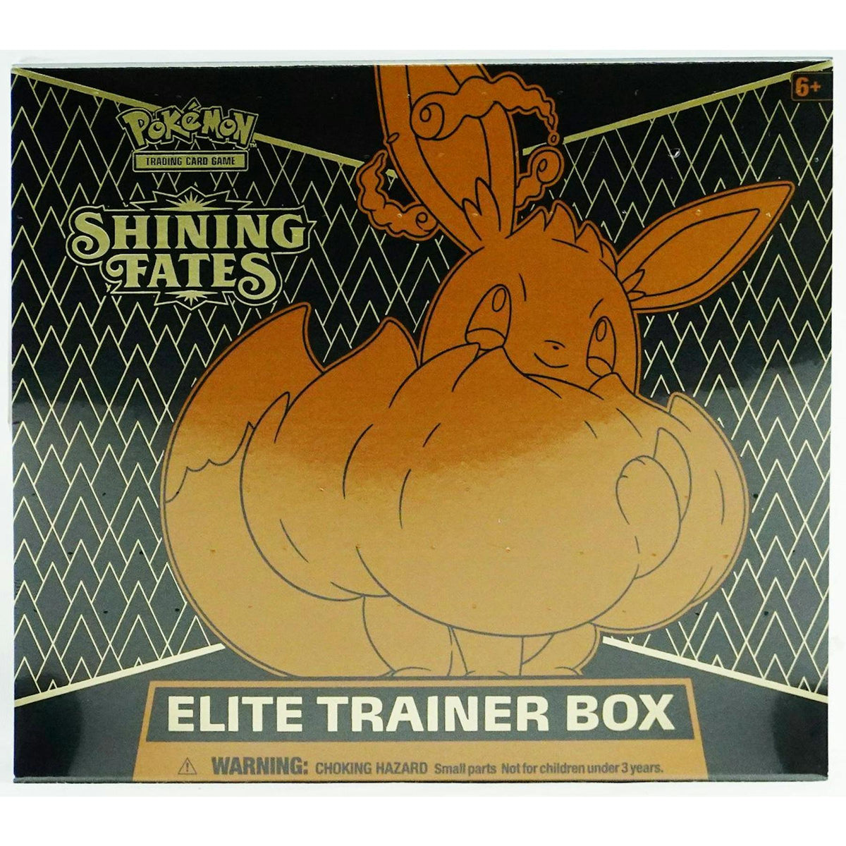 Pokemon Shining Fates Elite Trainer 10-Box Case