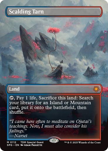 Magic the Gathering Special Guests BORDERLESS Scalding Tarn 0112 NEAR MINT NM