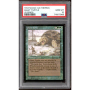 Giant Turtle (PSA 10)