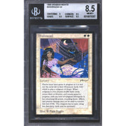 Shahrazad (BGS 8.5)