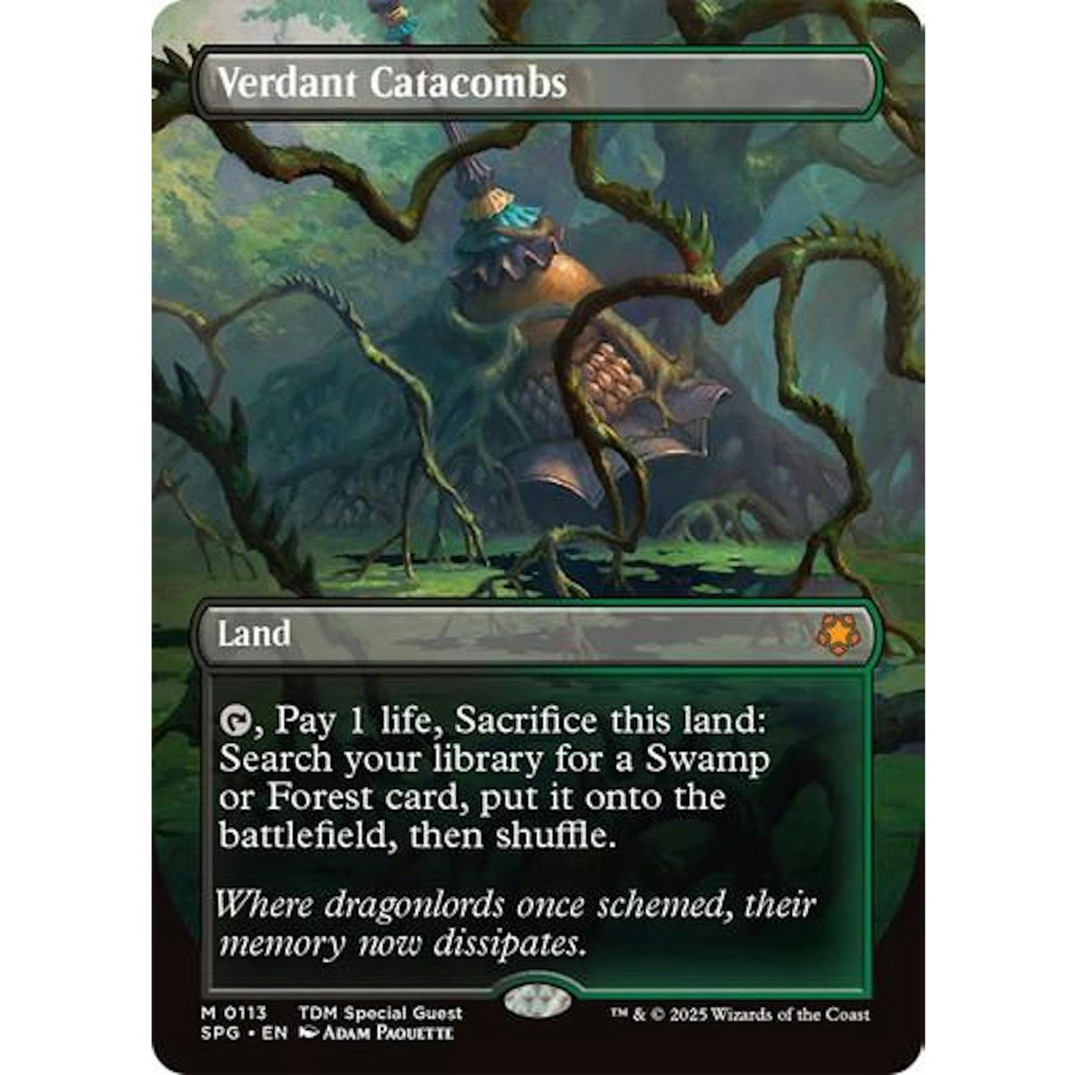 Magic the Gathering Special Guests BORDERLESS Verdant Catacombs 0113 NEAR MINT NM