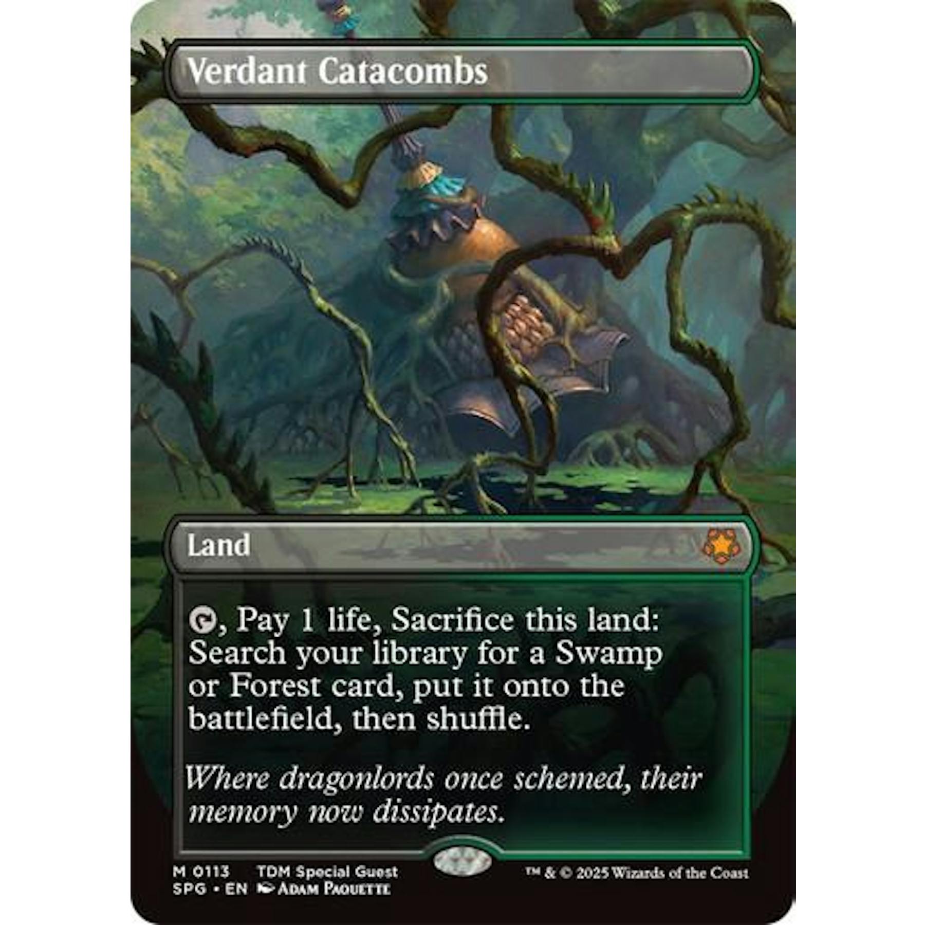 Magic the Gathering Special Guests BORDERLESS Verdant Catacombs 0113 NEAR MINT NM